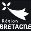 Réseau interurbain BreizhGo Car 35 (expérimentation)